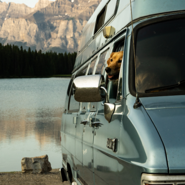 A dog looking out the window of a camper van in front of a lake
