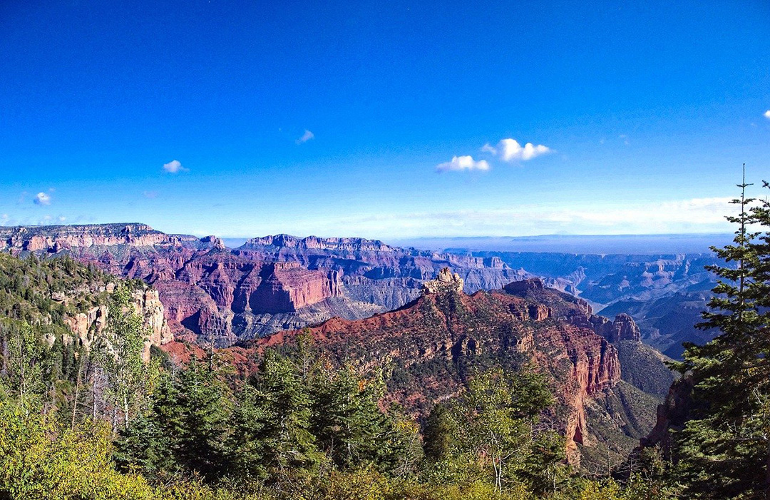View of the North Rim of the Grand Canyon.