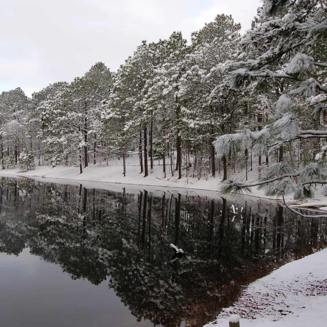 Pond and forest covered in snow and ice at Spacious Skies Year-Round Campgrounds-Sandy Run