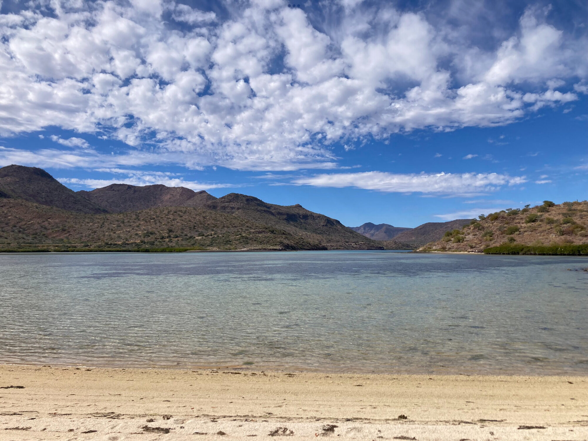the waters of Playa El Requeson observed while camping in Baja California