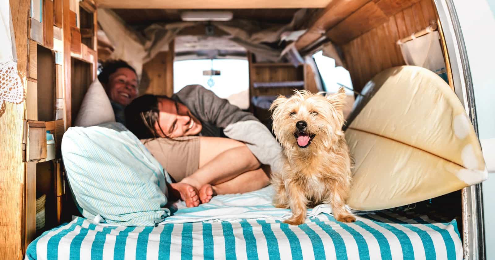 couple with dog laying on campervan bed with back doors open
